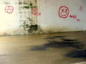 27103_1223078333765_1133169318_30524369_348520_n