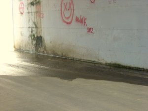 27103_1223078453768_1133169318_30524372_6937676_n