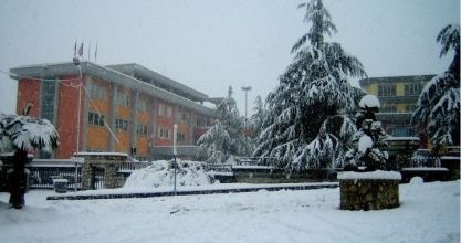 licneve