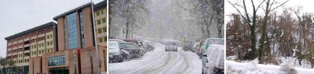 neve3