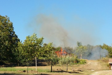 incendio colle rosso
