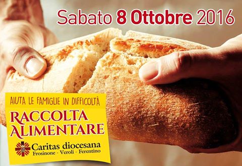 raccolta-alim
