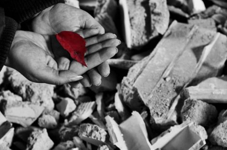 foglia-rossa-830x552