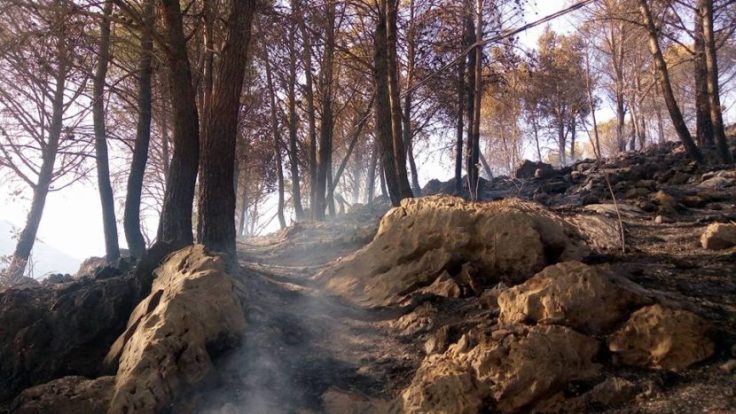 20525649_1758609314168491_785325459990839303_n-830x467