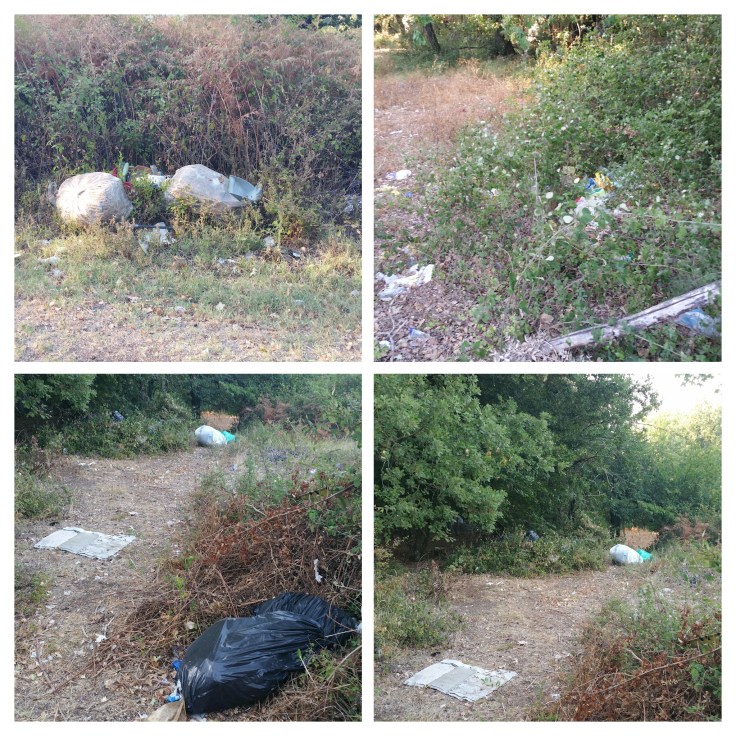 collage rifiuti peschieta