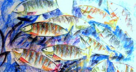 pesca-miracolosa-e1504940370214-830x441