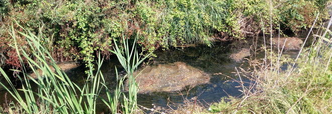 3810509_1657_fossovadisipatrica-pagespeed-ce-gz87v3nc2s