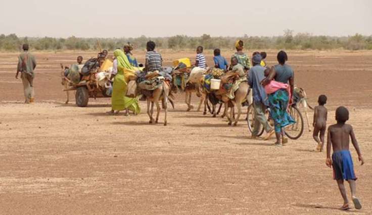 img800-le-altre-verita-scomode-sull-africa-136785