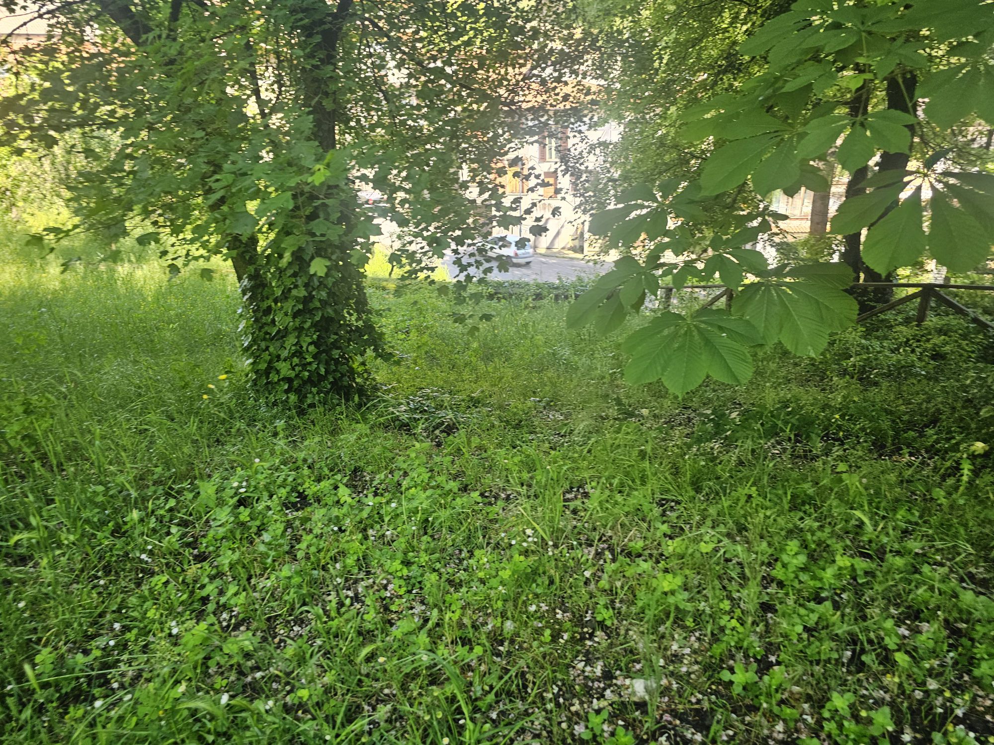 20250426_1111572162543767934237121